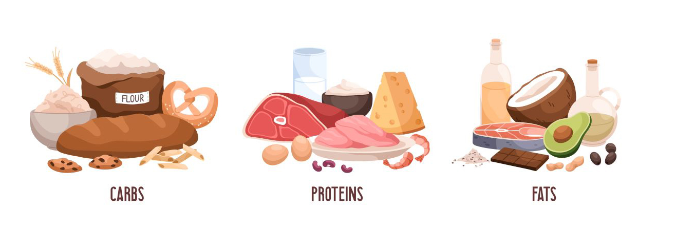 foods that are healthy fats, carbs, and proteins